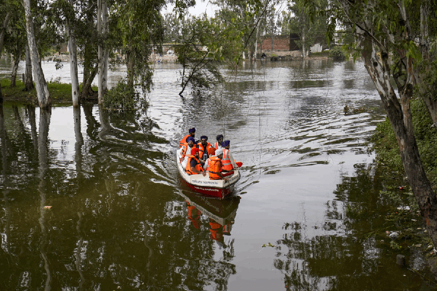 Punjab floods claim 46 lives, crops on 1.75 lakh hectares destroyed