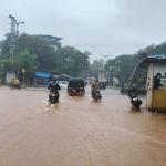 Heavy rain pounds coastal Karnataka; Lightning destroys cattle shed in Belke, Bhatkal highway flooded again