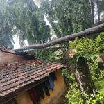 Bhatkal hit by heavy rain and strong winds; Two dead, roofs torn off, trees uprooted