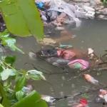 Missing youth found dead in stagnant water pool near Bantwal