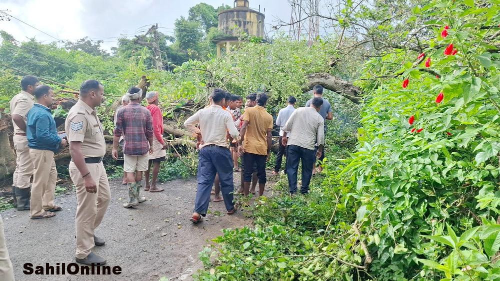 Two including pregnant woman killed in Yellapur tree collapse; three children critically hurt
