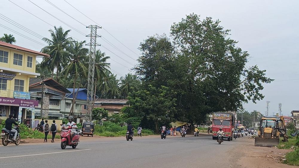 Bhatkal: Peepal tree at Ranginkatte to be cleared for NH-66 expansion on December 24