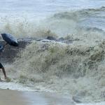 Coastal fury in Kerala: Kannamaly residents block roads after sea inundation